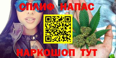 шишки Усть-Илимск