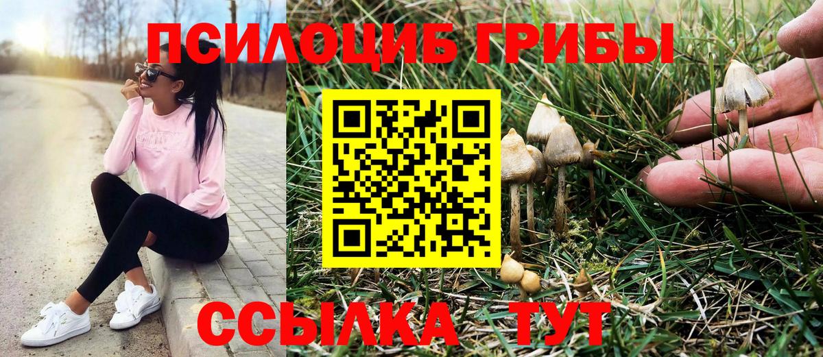 Псилоцибиновые грибы ЛСД Гай