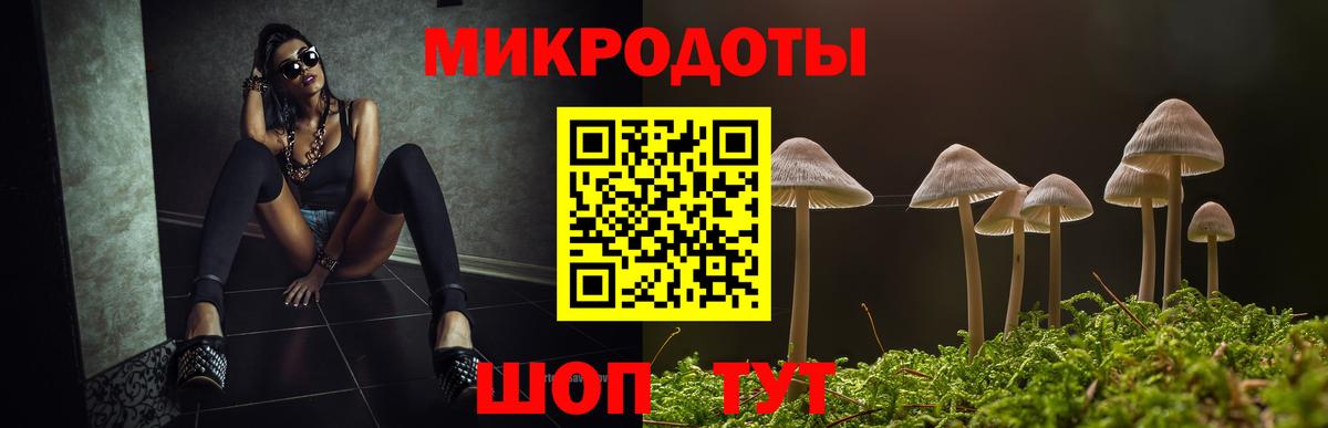 Гай  Галлюциногенные грибы GOLDEN TEACHER  Вход с VPN 